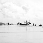 nemli bir yaz ortasında