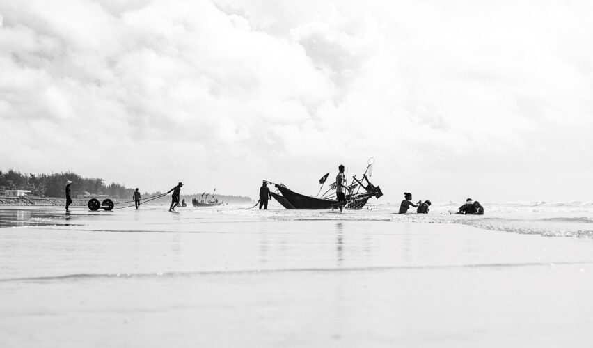 nemli bir yaz ortasında